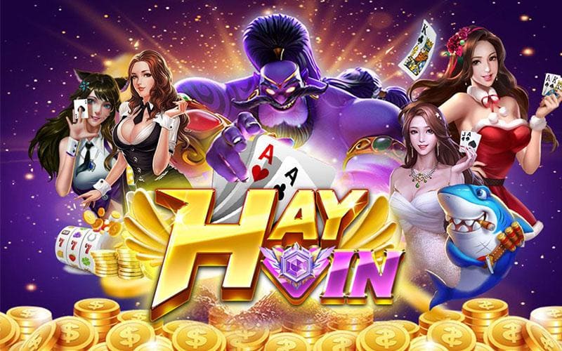 Tổng Quan Về Cổng Game Hayvin